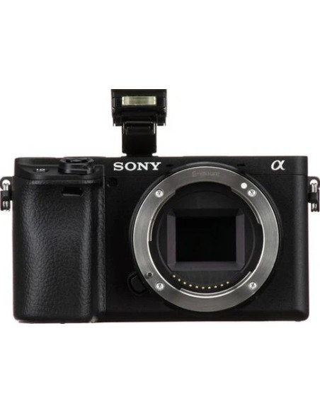 Alpha 6400 + SEL-P 16-50mm f/3.5-5.6 OSS II Nera
